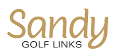 Sandy Logo